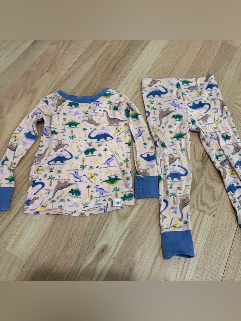The Honest Company Pink Dinosaur Pajama Set with Purple Trim
